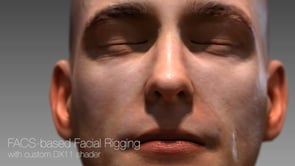 Facial Rigging based on FACS