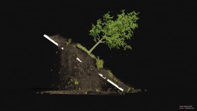 木と土のシミュレーション