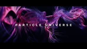 Particle Universe